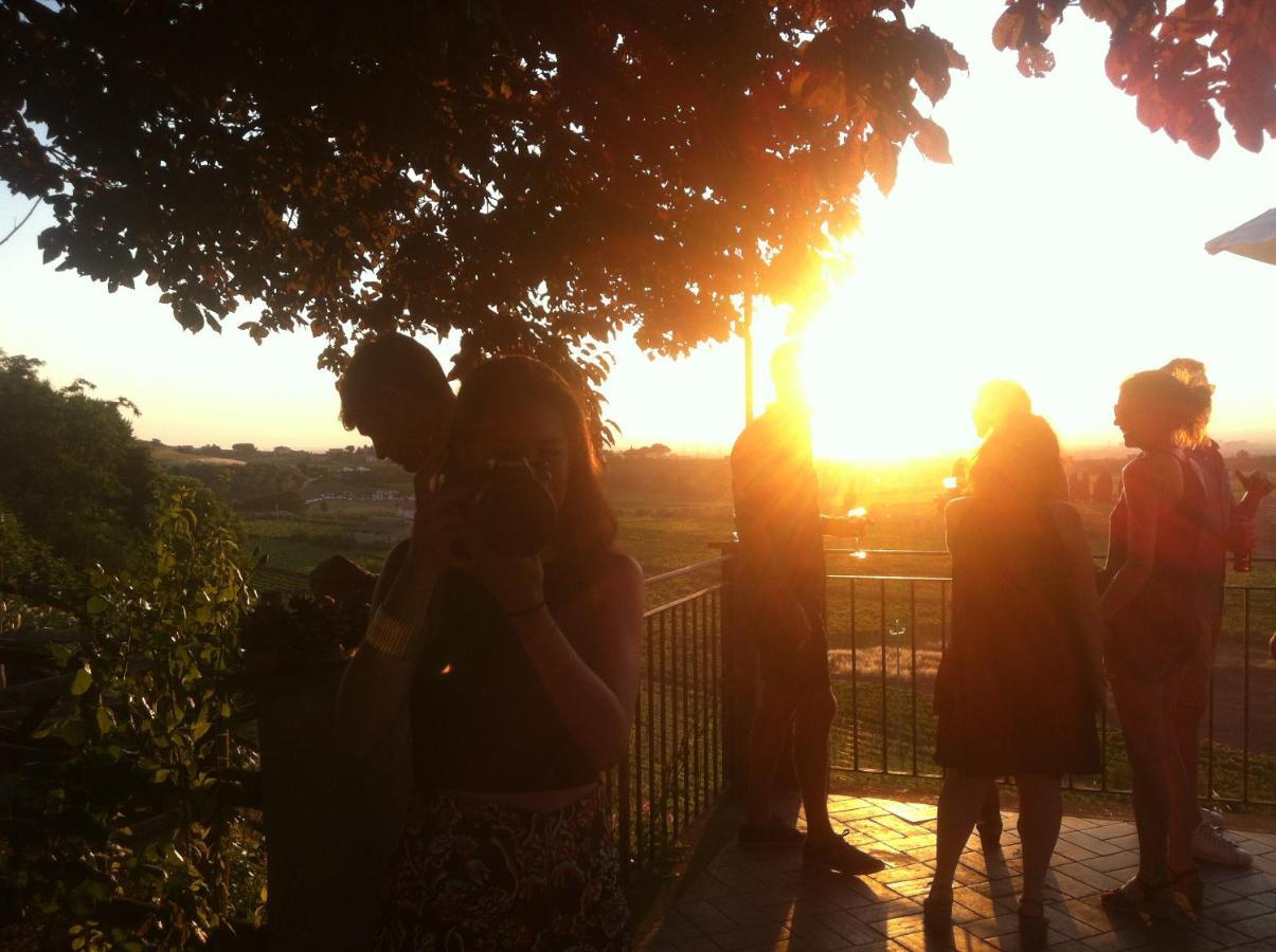 Merumalia Wine Resort ฟรัสกาตี ภายนอก รูปภาพ