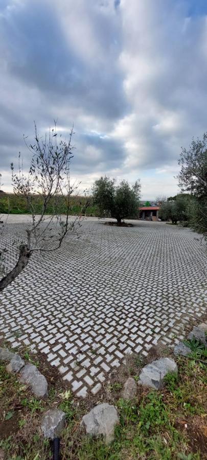 Merumalia Wine Resort ฟรัสกาตี ภายนอก รูปภาพ