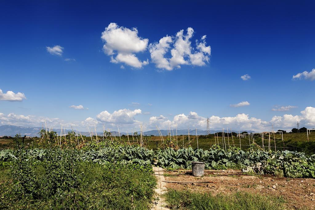 Merumalia Wine Resort ฟรัสกาตี ภายนอก รูปภาพ