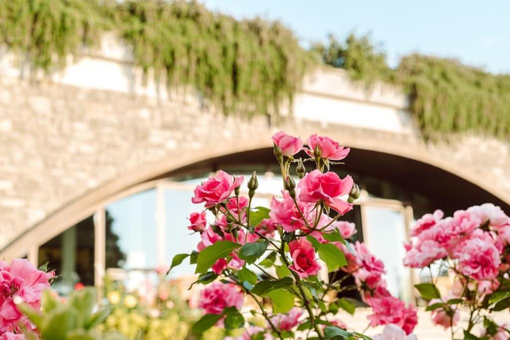 Merumalia Wine Resort ฟรัสกาตี ภายนอก รูปภาพ