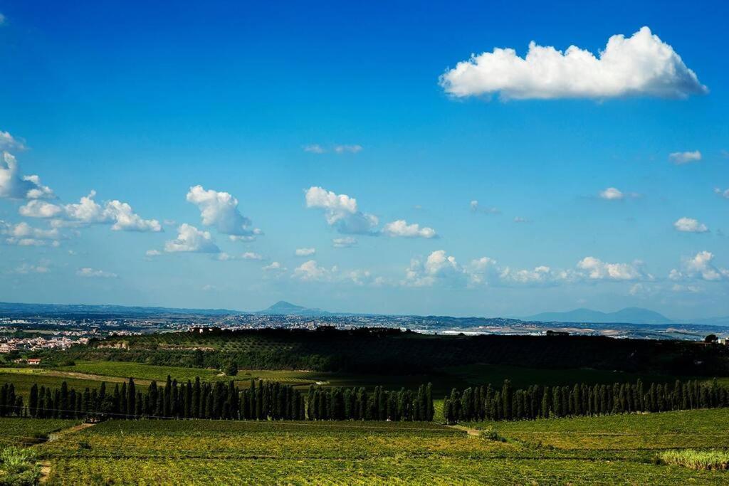 Merumalia Wine Resort ฟรัสกาตี ภายนอก รูปภาพ