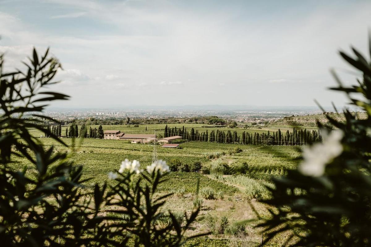 Merumalia Wine Resort ฟรัสกาตี ภายนอก รูปภาพ