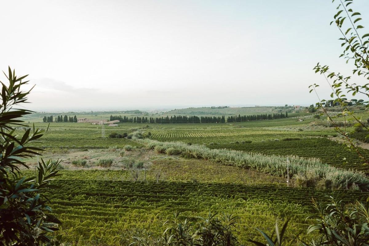 Merumalia Wine Resort ฟรัสกาตี ภายนอก รูปภาพ