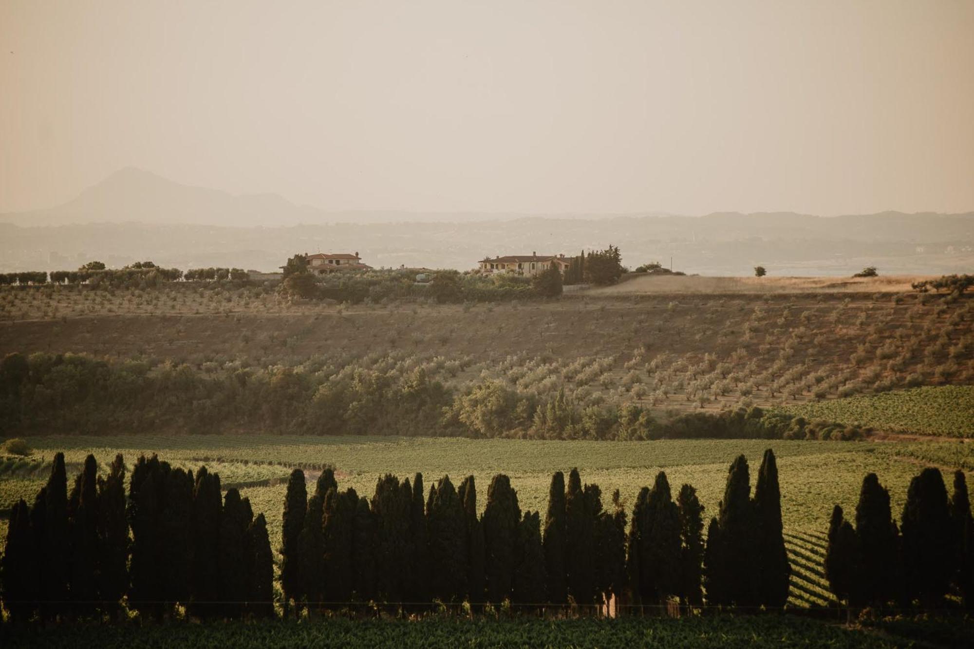Merumalia Wine Resort ฟรัสกาตี ภายนอก รูปภาพ