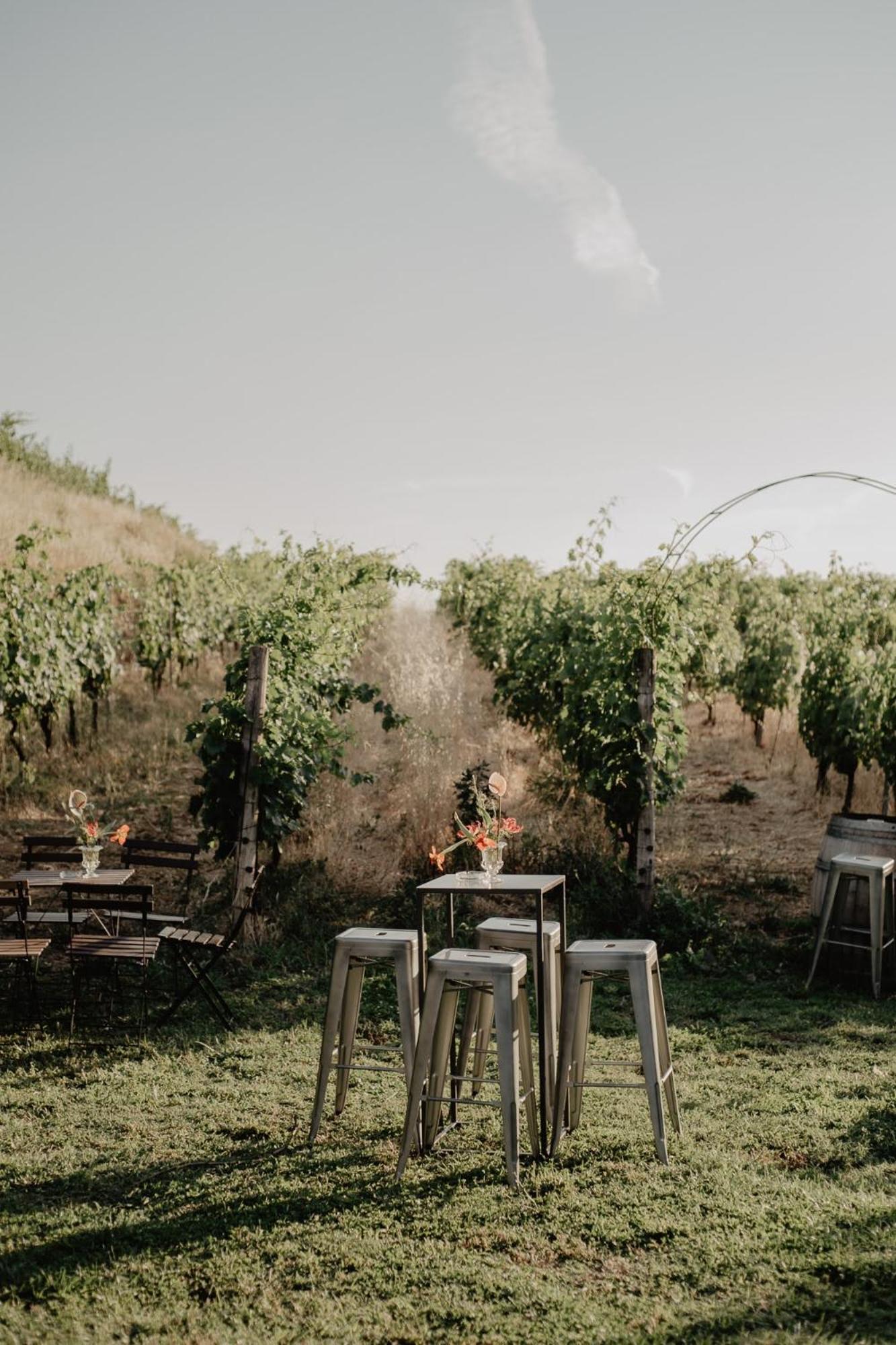 Merumalia Wine Resort ฟรัสกาตี ภายนอก รูปภาพ