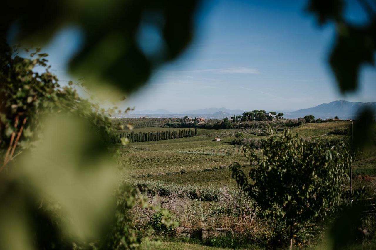Merumalia Wine Resort ฟรัสกาตี ภายนอก รูปภาพ
